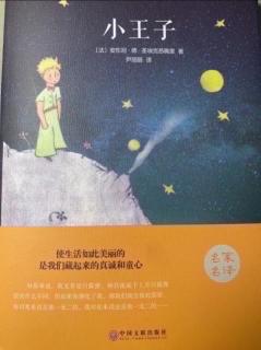 The Little Prince(35)
