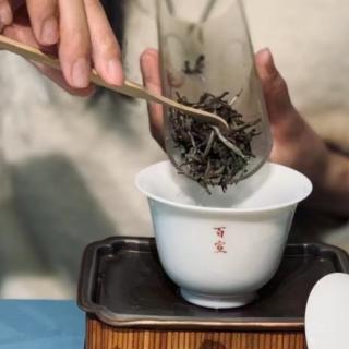 长期收藏白茶，是选择散茶还是饼茶？