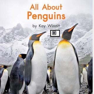 【readii666】海尼曼G2 D10 英英朗读7.  All about Penguins