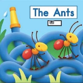 【readii666】海尼曼G2 D6 英英拓展 14  The Ants