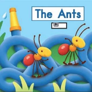 【readii666】海尼曼G2 D6 中文精讲 14  The Ants