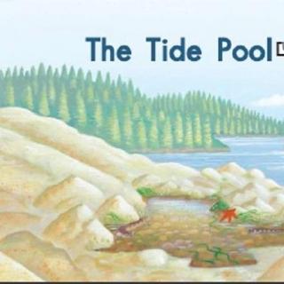 【readii666】海尼曼G2 D2 中文精讲4 The Tide Pool