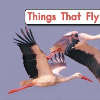 【readii666】海尼曼G2 D1 中文精讲 2 Things that fly