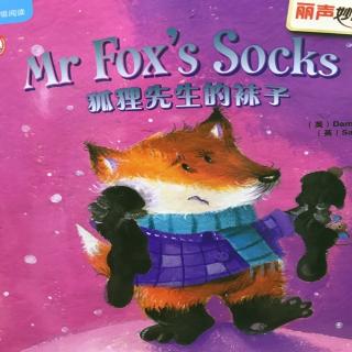 Mr Fox’s Socks