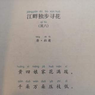 Harry中文13古诗两首《南园》《江畔独步寻花》