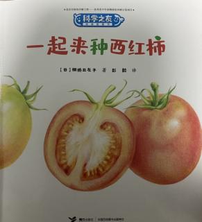 《一起来种树西红柿🍅》