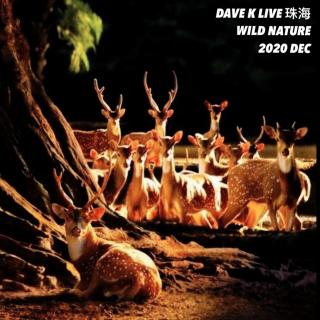 Dave k Live @ 广东珠海 Wild Club 2020 12 18