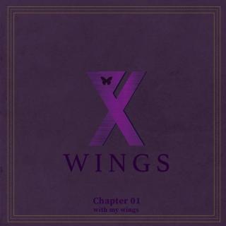 픽시(PIXY) - Wings