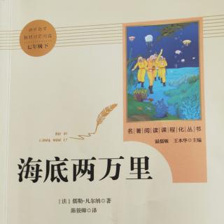 《海底两万里》节选