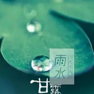 雨的随想