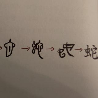 汉字里不一般的虫子家族