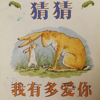 附幼小六班刘文楷《猜猜我有多爱你》