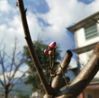 静心瑜伽音乐：Garden of Peace