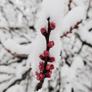 碑林路人《醉倒在故乡的风中》