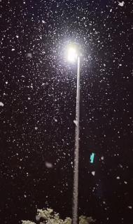 《夜雪》［唐］一一白居易