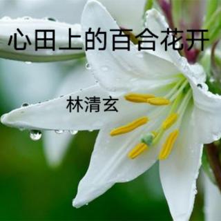 《心田上的百合花开》林清玄