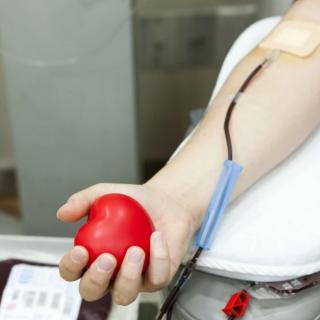 2月27日_百科知识献血会影响人体的免疫力吗？