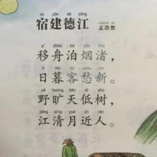 华调:《宿建德江》唐.孟浩然