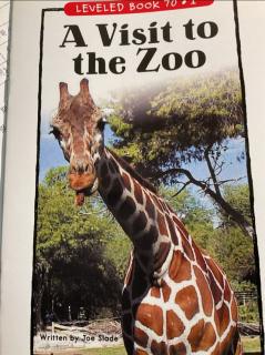 A visit to the zoo