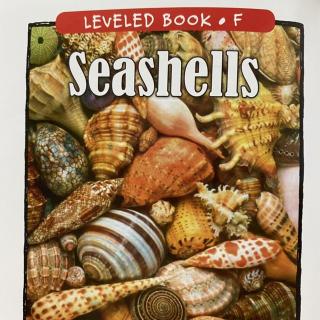 RAZ LevelF 404 - Seashells