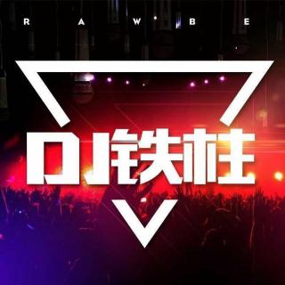 我的人谁敢动) DJ铁柱修改 你走以后 DJ铭仔Remix