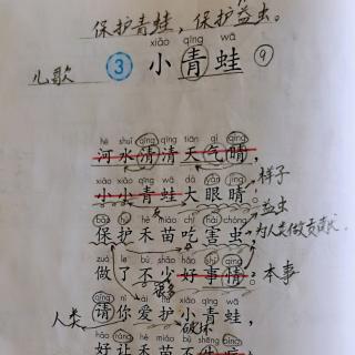 识字   小青蛙