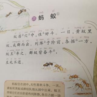 文言启蒙课第一册25蚂蚁