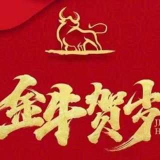 《新年快乐》作者:碑林路人