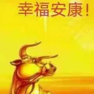 《新年快乐》作者:碑林路人