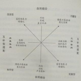 4.6和平活泼型