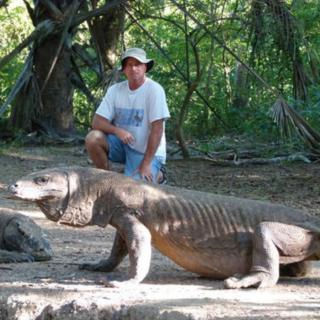 Meeting Komodo Dragons