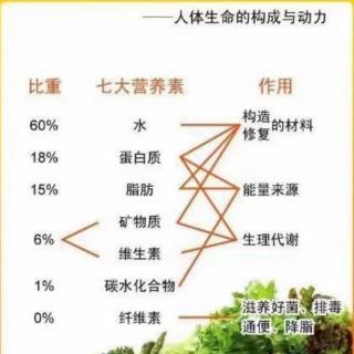 【幸福岛】疾病真相by林海峰