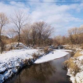 《一场春雪，万种情牵》 文/飘