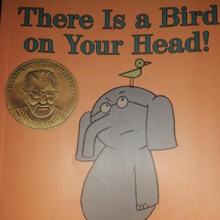 There Is a Bird on Your Head !