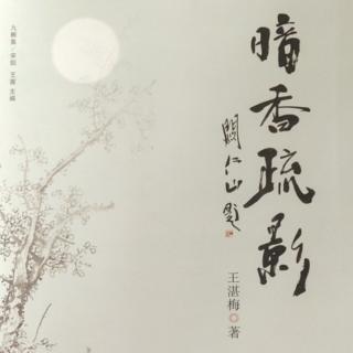 山中独坐