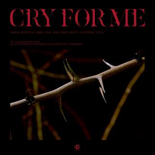 CRY FOR ME（为我哭泣）