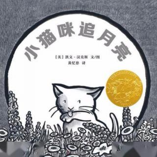 《小猫咪🐱追月亮》