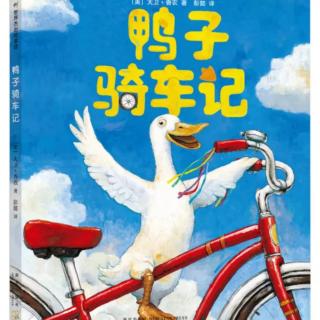 幼专金海湾幼儿园薛老师——《鸭子骑车记》
