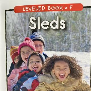 RAZ LevelF 405 - Sleds