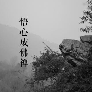 何虑将军不成佛