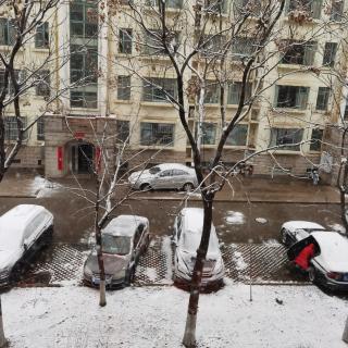 《雪落下的声音》—苏菲航