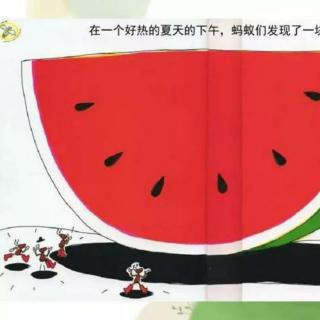 蚂蚁🐜和西瓜🍉