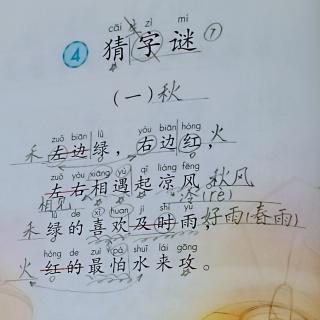 识字4   猜字谜