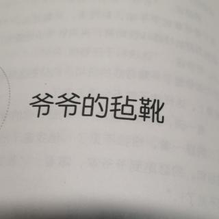 爷爷的毡靴