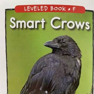 RAZ LevelF 406 - Smart Crows