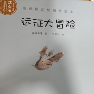 《远征大冒险》