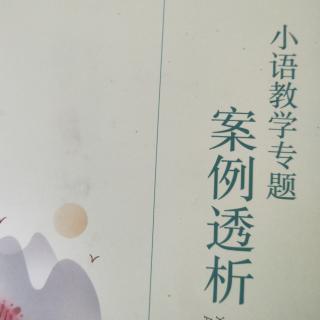 1《小学语文教学专题案例透析》