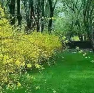 《丝丝雨》干声  竹林听雨