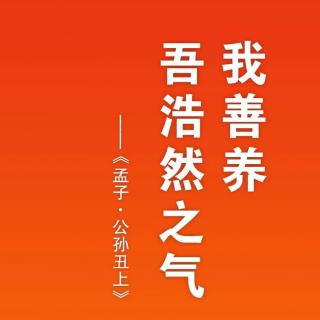 再读《完美公司简介》