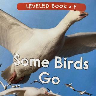 RAZ LevelF 408 - Some Birds Go